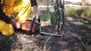 Lawn Watering Services in Selmer, TN