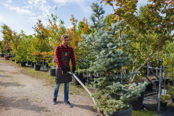 Best Hazardous Tree Removal  in Selmer, TN