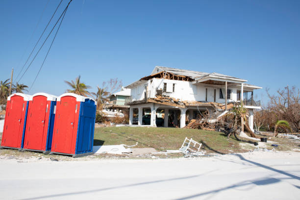 Best Storm Damage Tree Cleanup  in Selmer, TN